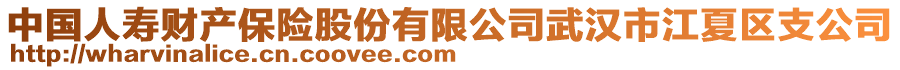 中国人寿财产保险股份有限公司武汉市江夏区支公司