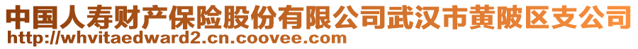 中国人寿财产保险股份有限公司武汉市黄陂区支公司