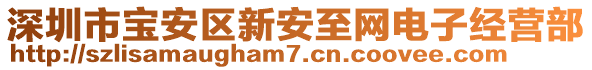 深圳市寶安區(qū)新安至網(wǎng)電子經(jīng)營(yíng)部