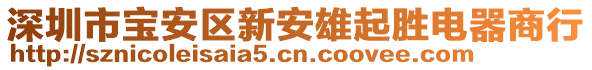 深圳市寶安區(qū)新安雄起勝電器商行