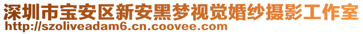 深圳市寶安區(qū)新安黑夢視覺婚紗攝影工作室