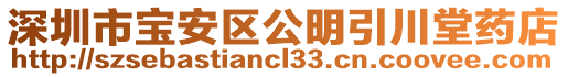 深圳市寶安區(qū)公明引川堂藥店