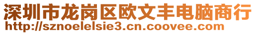 深圳市龍崗區(qū)歐文豐電腦商行