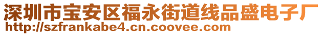 深圳市寶安區(qū)福永街道線品盛電子廠