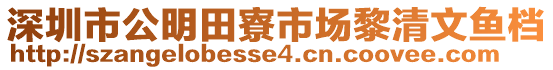 深圳市公明田寮市場黎清文魚檔