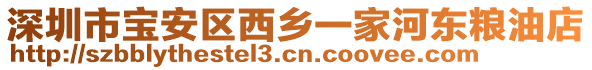 深圳市寶安區(qū)西鄉(xiāng)一家河?xùn)|糧油店