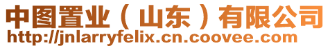 中圖置業(yè)（山東）有限公司