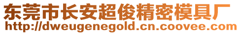 東莞市長安超俊精密模具廠