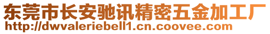 東莞市長安馳訊精密五金加工廠