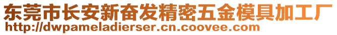 東莞市長安新奮發(fā)精密五金模具加工廠