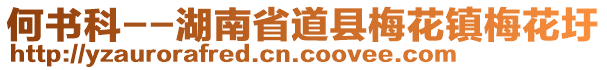 何書科--湖南省道縣梅花鎮(zhèn)梅花圩