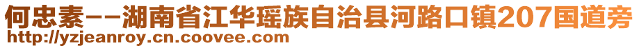 何忠素--湖南省江華瑤族自治縣河路口鎮(zhèn)207國道旁