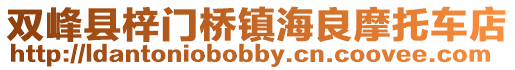 雙峰縣梓門橋鎮(zhèn)海良摩托車店