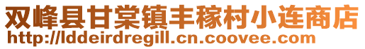 双峰县甘棠镇丰稼村小连商店