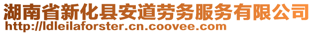 湖南省新化縣安道勞務服務有限公司