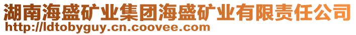 湖南海盛矿业集团海盛矿业有限责任公司