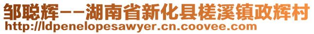 鄒聰輝--湖南省新化縣槎溪鎮(zhèn)政輝村