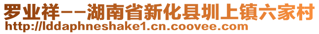 羅業(yè)祥--湖南省新化縣圳上鎮(zhèn)六家村