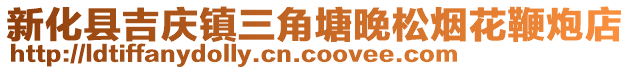 新化縣吉慶鎮(zhèn)三角塘晚松煙花鞭炮店