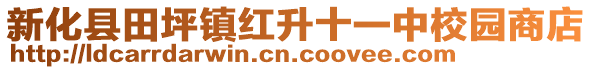 新化縣田坪鎮(zhèn)紅升十一中校園商店