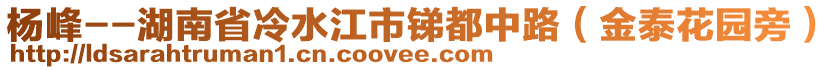 楊峰--湖南省冷水江市銻都中路（金泰花園旁）