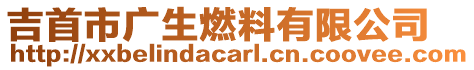 吉首市廣生燃料有限公司