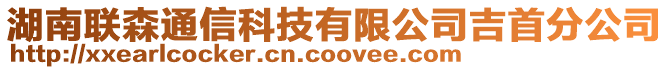 湖南联森通信科技有限公司吉首分公司