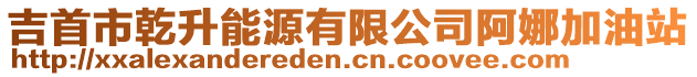 吉首市乾升能源有限公司阿娜加油站