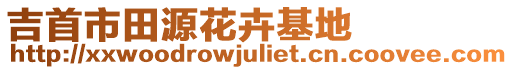 吉首市田源花卉基地