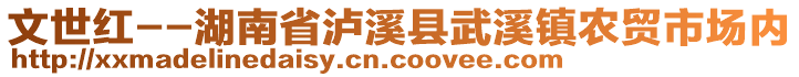 文世紅--湖南省瀘溪縣武溪鎮(zhèn)農(nóng)貿(mào)市場內(nèi)