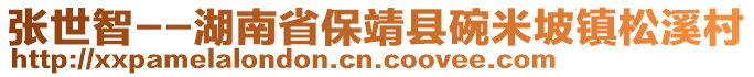 张世智--湖南省保靖县碗米坡镇松溪村