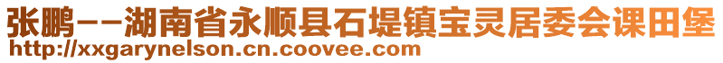 張鵬--湖南省永順縣石堤鎮(zhèn)寶靈居委會課田堡