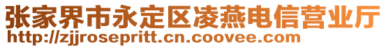 張家界市永定區(qū)凌燕電信營業(yè)廳