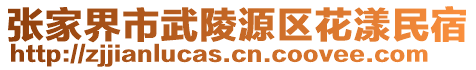 張家界市武陵源區(qū)花漾民宿