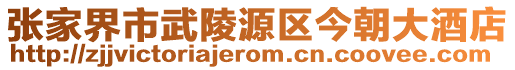 張家界市武陵源區(qū)今朝大酒店