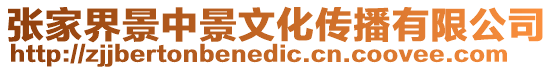 張家界景中景文化傳播有限公司