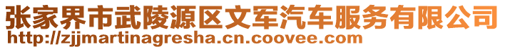 张家界市武陵源区文军汽车服务有限公司