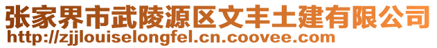 張家界市武陵源區(qū)文豐土建有限公司