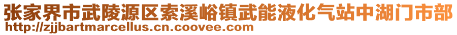 張家界市武陵源區(qū)索溪峪鎮(zhèn)武能液化氣站中湖門市部