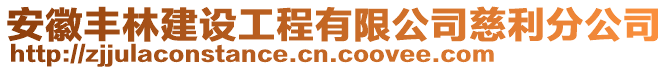 安徽豐林建設工程有限公司慈利分公司