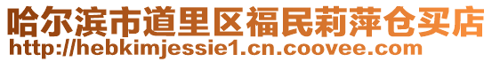 哈爾濱市道里區(qū)福民莉萍倉買店