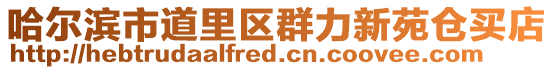 哈爾濱市道里區(qū)群力新苑倉買店