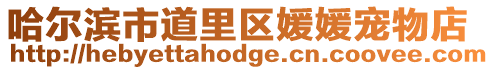 哈爾濱市道里區(qū)媛媛寵物店