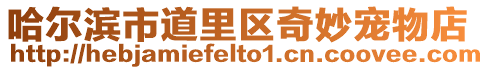 哈爾濱市道里區奇妙寵物店