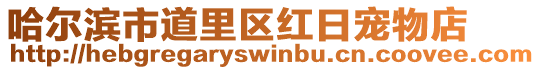 哈爾濱市道里區紅日寵物店