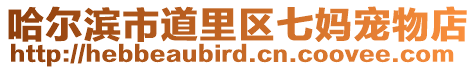 哈爾濱市道里區七媽寵物店