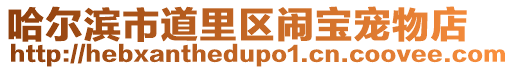 哈爾濱市道里區鬧寶寵物店