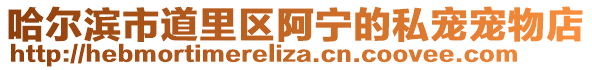 哈爾濱市道里區(qū)阿寧的私寵寵物店