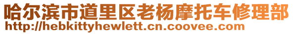 哈爾濱市道里區(qū)老楊摩托車修理部