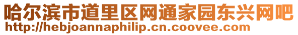 哈爾濱市道里區網通家園東興網吧